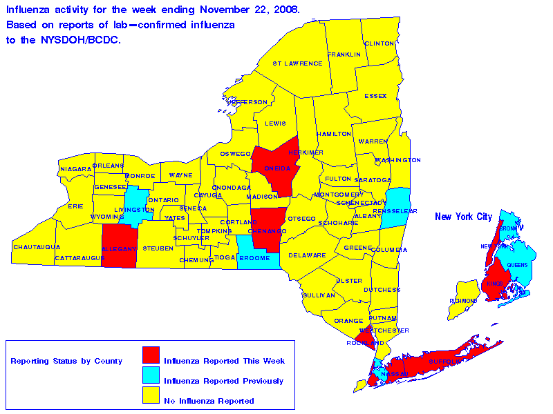 new york state map. Map of flu activity in New