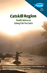 Link to view Catskill Region Brochure